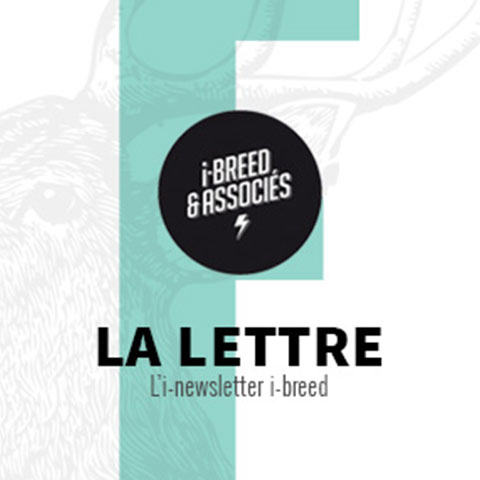 newsletter ibreed